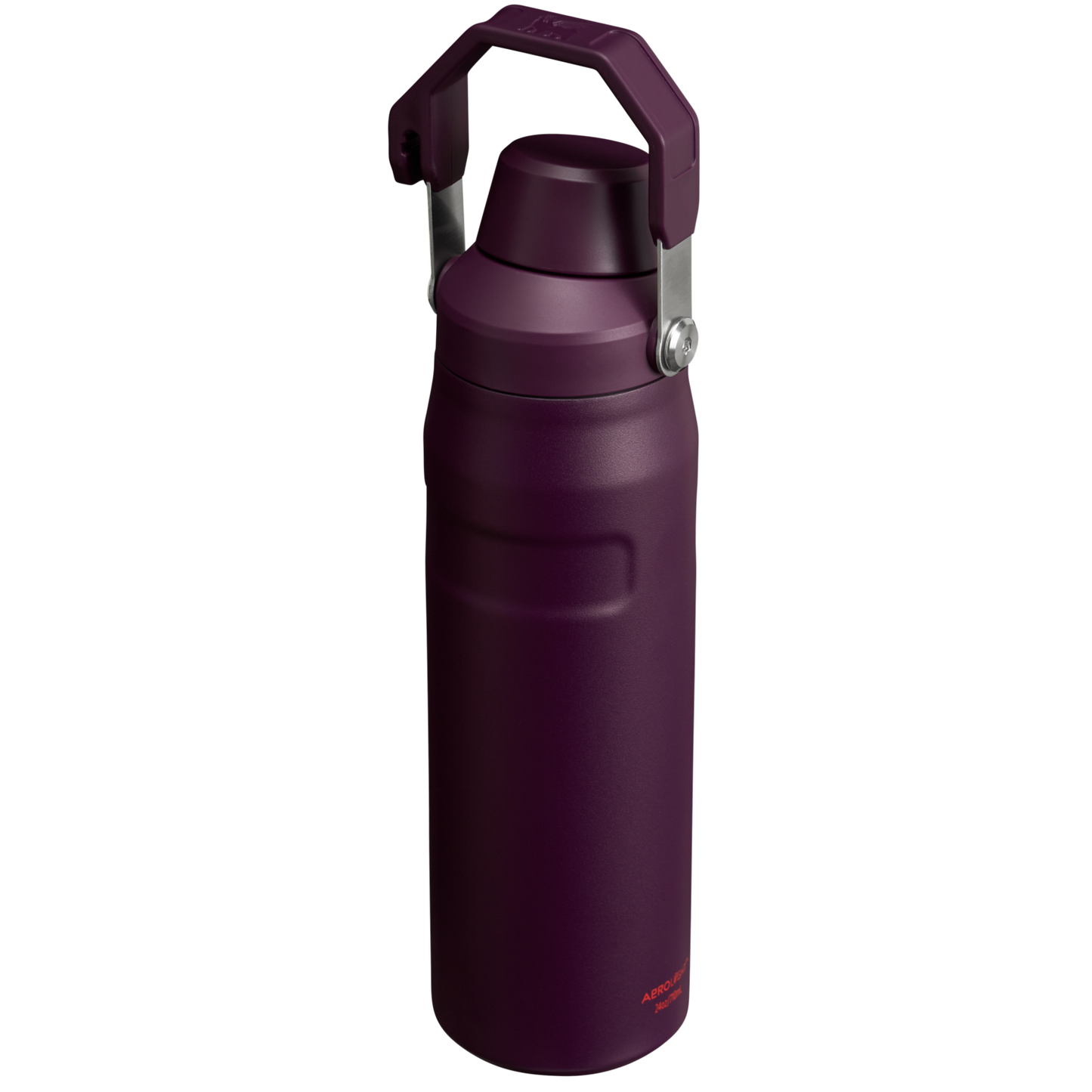 IceFlow? Bottle with Fast Flow Lid | 24 OZ