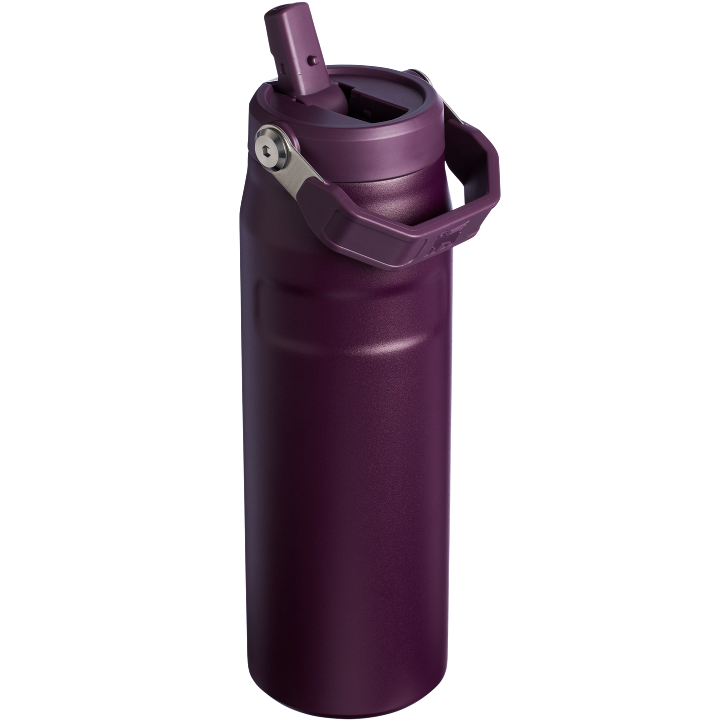 The IceFlow? Bottle with Flip Straw Lid | 24 OZ